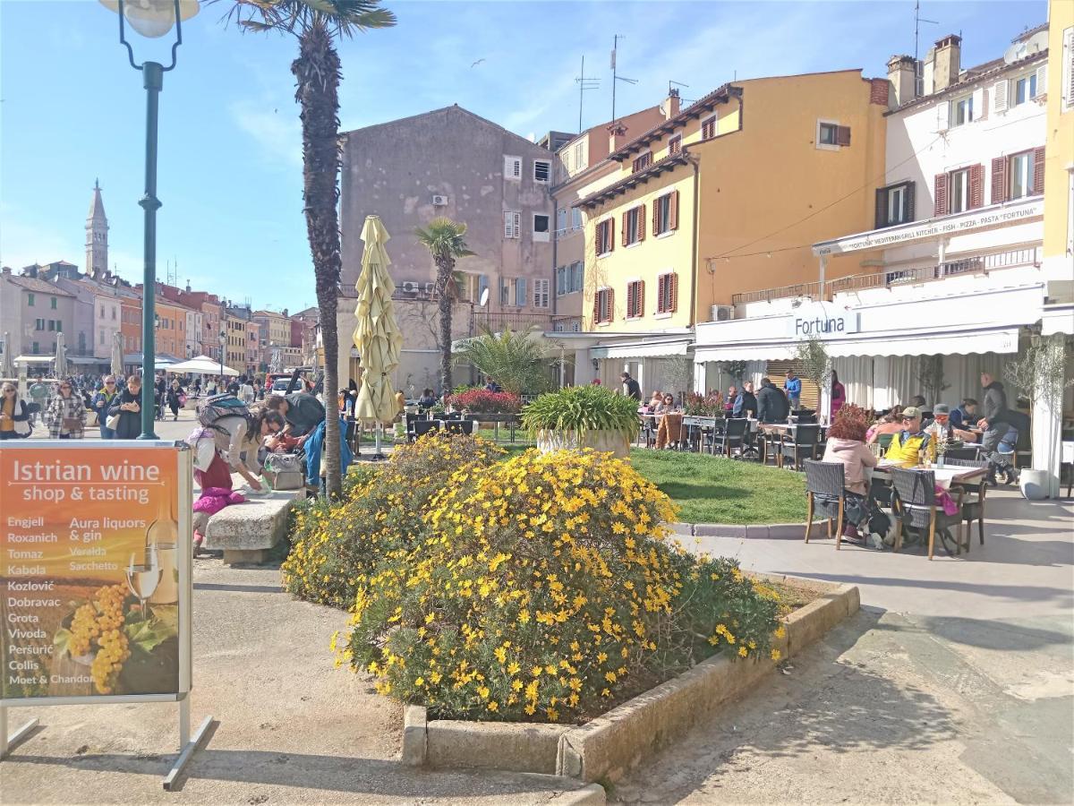 Apartman Speranza Rovinj Extérieur photo